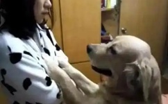 亚洲精品综合五月久久小说